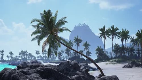 Serene Tropical Landscape in Tahiti Featuring Palm Trees and Rocky Beach
