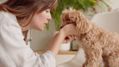 Woman Affectionately Petting and Kissing Her Adorable Puppy