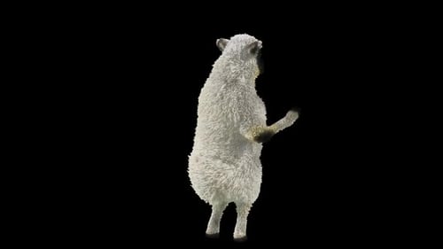 Funny Dancing Sheep 3D Animation