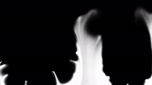 Abstract Ink Reveal on White Background