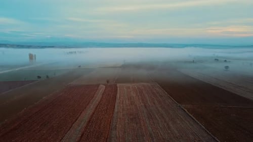 Aerial View of Farm Fields at Sunrise or Sunset