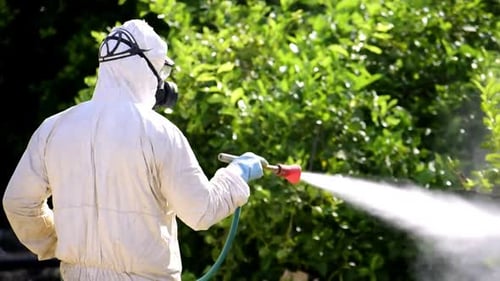 Adult Sprays Plants with Protective Suit and Mask