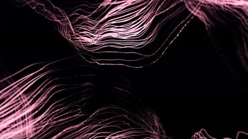 Abstract Pink Flowing Lines Digital Wave Background