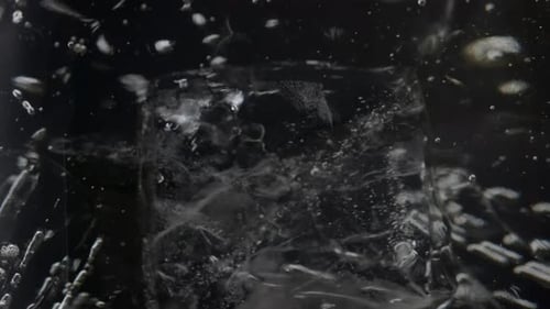 Ice Cubes Dropped in Transparent Tasty Drink Close Up. Frozen Blocks Floating