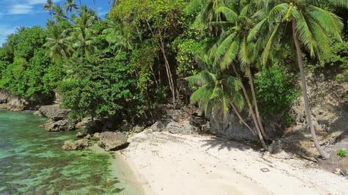 Tropical Beach with Turquoise Sea Water and Lush Green Palm Trees