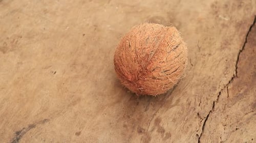 Close Up of Hairy Coconut on Wood Surface