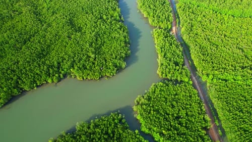 Drone flying over tropical forest, beautiful mangroves and winding river.