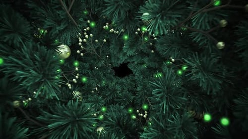 Christmas Tunnel