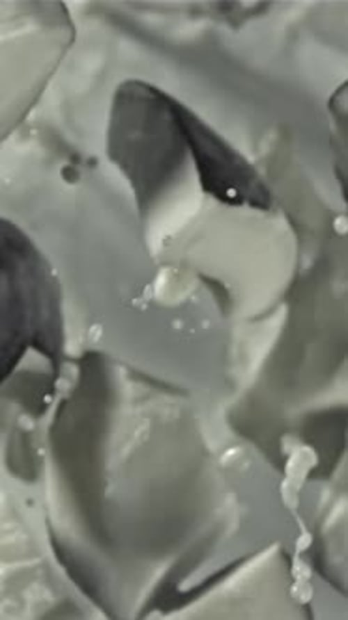 Pieces of Coconut Fly Up and Fall Down Filmed on a Highspeed Camera at 1000 Fps