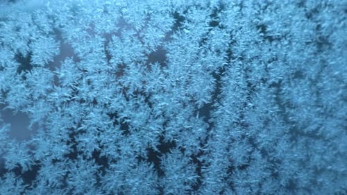 Frozen Snowflake Covering The Glass Car Window. Close Up