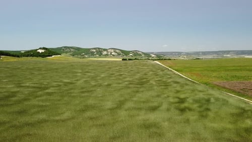 Aerial View on Green Wheat Field in Countryside