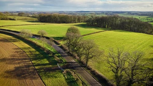 Winding Road Passing Through Open Fields with Trees Creating Intricate Shadows Charming Rural Lane