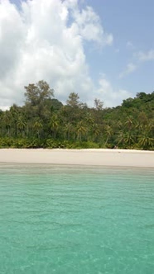 Idyllic Tropical Beach with Palms White Sand and Crystal Clear Turquoise Water