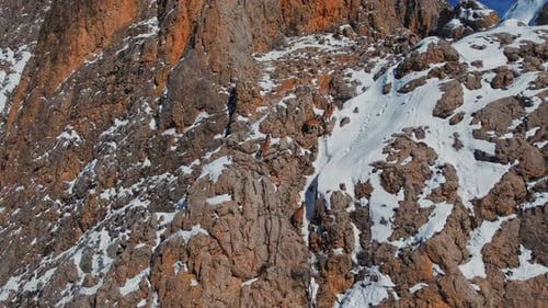 Mountain Goats Walking On The Mountains