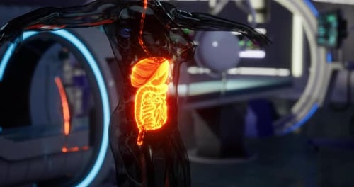 Futuristic Lab Showing a Detailed View of the Digestive System