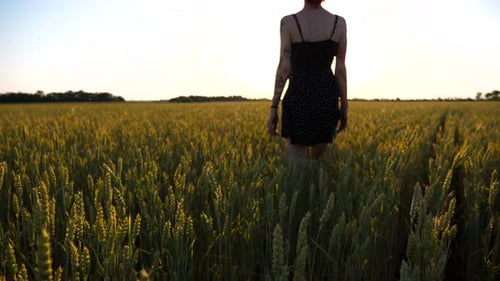 Young Female Hipster in Dress Walking Through Green Barley Field at Sunset Carefree Punk Girl with