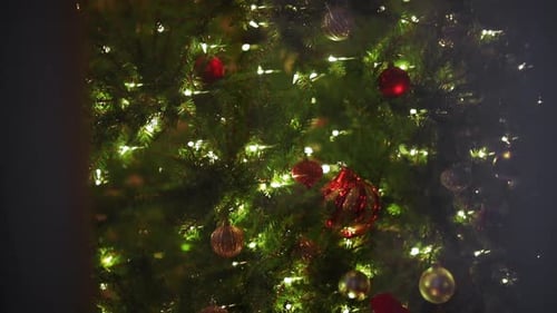 Beautiful Lit up Christmas Tree Lights. Outside Looking in Window View