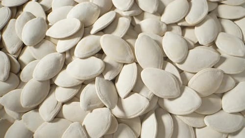 Pile of Raw Pumpkin Seeds Close Up Still