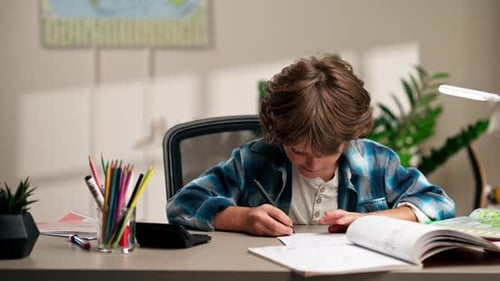 Boy Studying at Desk at Home