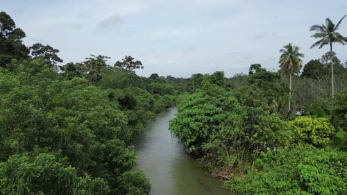Luftbewegung über dem Fluss