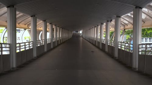 A Bird And A Person In The Empty Footbridge In Bangkok, Thailand During Coronavirus Pandemic - Wide