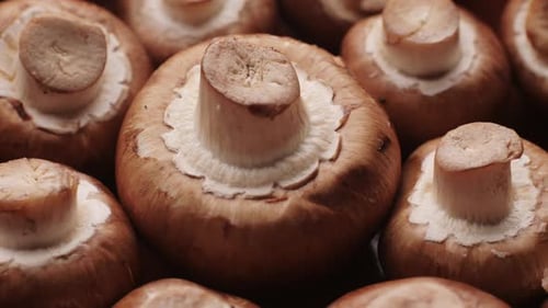 Champignons fraîchement cueillis à la maison, cuisine, gros plan, texture d'un champignon brun, une femme cuisinant savoureusement
