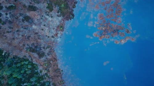 Above View Of Lake Swamps Over Rural Nature. Aerial Shot