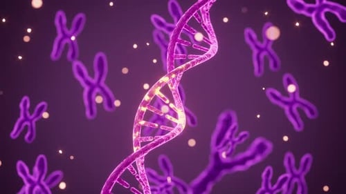 Human genes and chromosomes, 3d rendering.