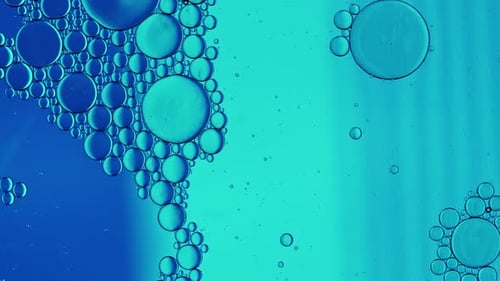Abstract Colorful Food Oil Drops Bubbles And Spheres Flowing On Water A Surface 38