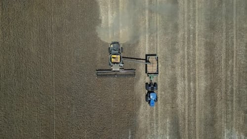 Combine harvested transporting grain of field into trailer or tractor. Agricultural harvesting scene