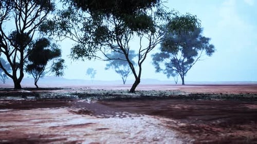 Vast African Savanna Landscape with Scattered Trees Under a Blue Sky