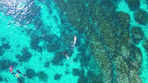 Aerial Tranquility, Swimmers Enjoying Crystal Waters by the Seashore in Taiwan