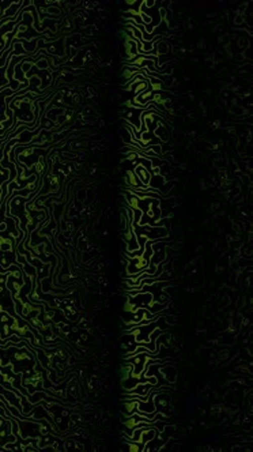 4K abstract green loop vertical background.