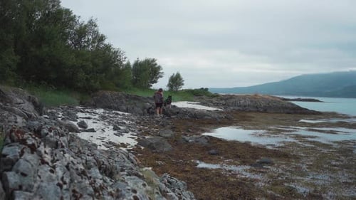 Person With His Pet Dog Is Walking At The Shore Near Stonglandshals, Norway. Wide Shot