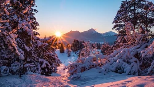 Sonnenaufgang Winter
