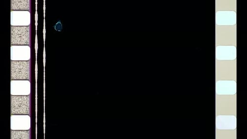 Sound on 35mm Film Dirt Scratch Borders