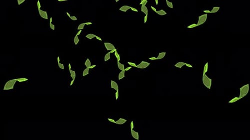 Falling dollar bills on transparent background, alpha channel