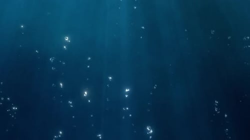 Underwater Environment : Sea Bubbles