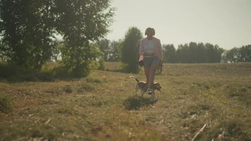 Dog Passing Through Owner's Legs on Sunny Farmland in Joyful Outdoor Training