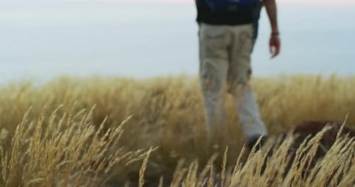A young man admiring the scenic view while out on a hike
