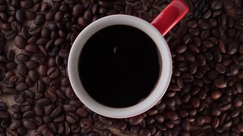 Coffee Bean Still Life with Coffee Drops