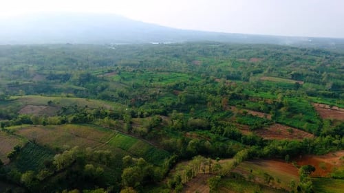 Luftbogen des lokalen Panoramahügels mit grüner Plantage