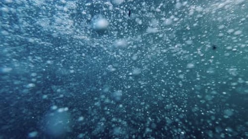 Air bubbles ascending gracefully from the ocean floor to the water's surface in slow motion