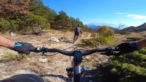 Group of Friends Speed Riding Mountain Bike Downhill Ride on a Rocky Path