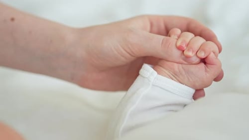 Baby Hand Holding Adult Finger in Close Up