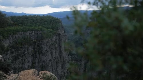 The Camera Moves From Behind the Bushes and Offers a View of a Canyon