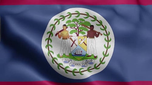 Realistic Waving Belize National Flag Animation with Coat of Arms