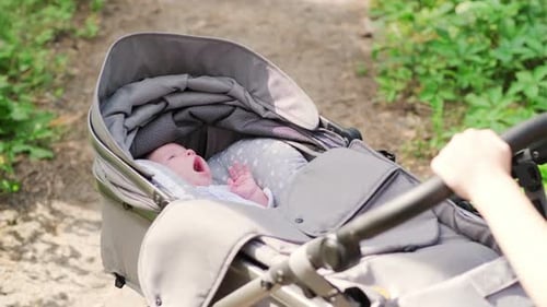 Portrait of a Newborn Baby in a Stroller in the Park
