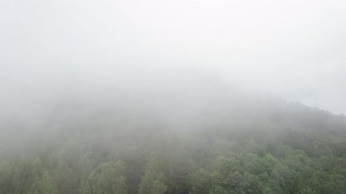 Aerial descending shot from the cloud to the bottom of the mountain forest