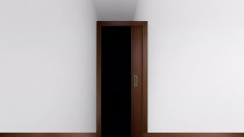 Scene Goes Dark Black After Door Opens